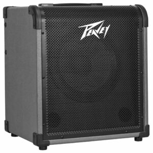 Peavey Max 100 E-Bass-Verstärker