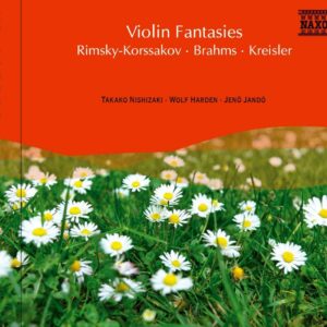 Violin Fantasies